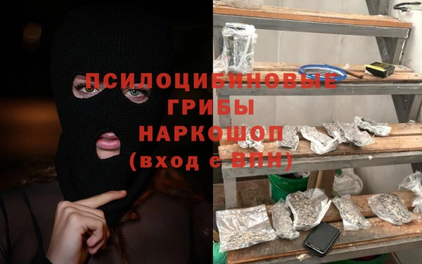 Альфа ПВП Богородск