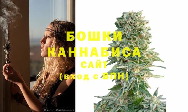 Альфа ПВП Богородск