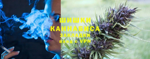 Альфа ПВП Богородск