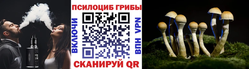 Галлюциногенные грибы мухоморы  Среднеуральск 